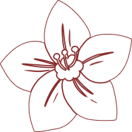 Decorative footer shape