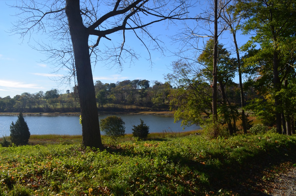 Therapy in Bella Vista Arkansas