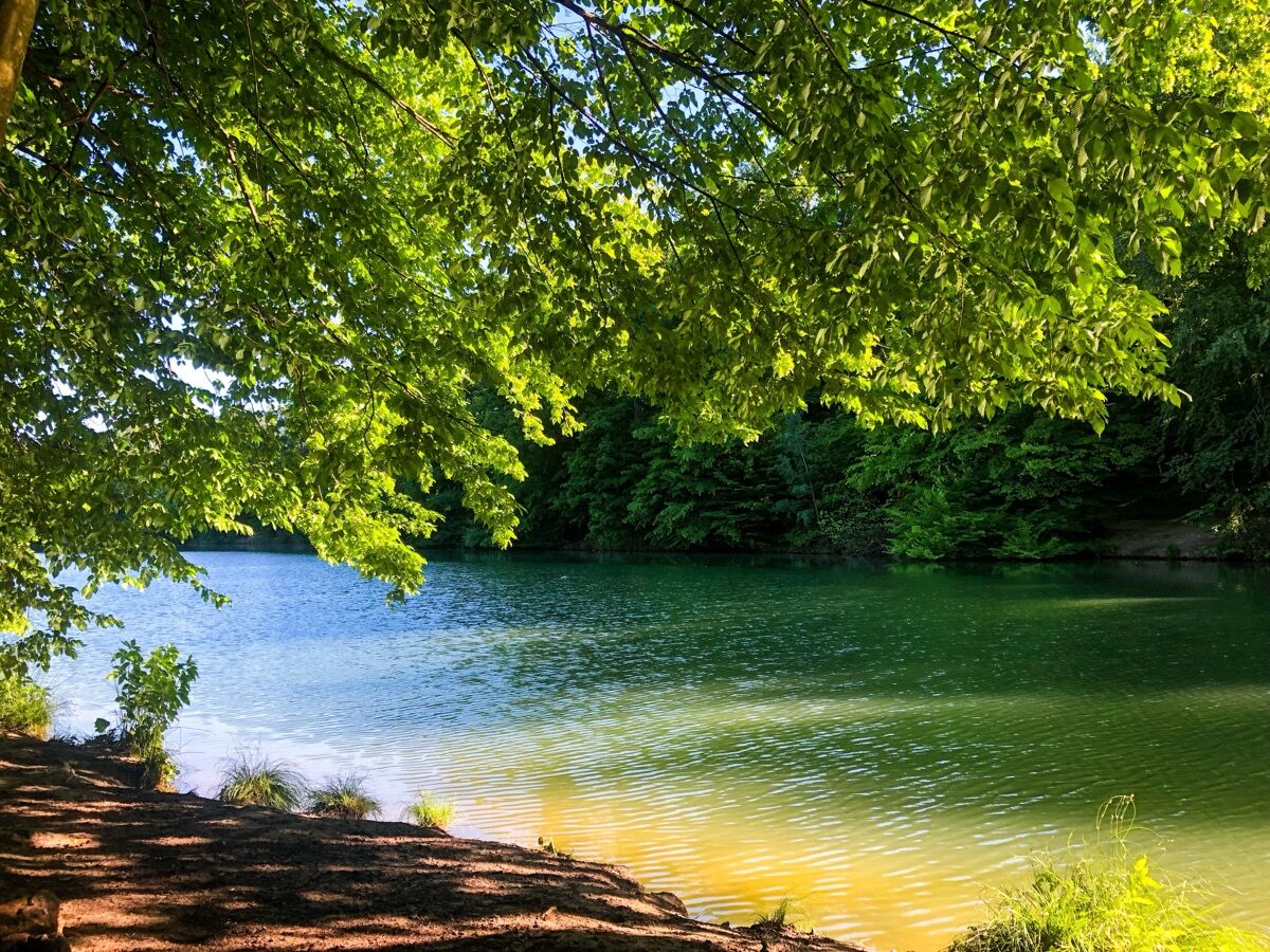 Springdale Arkansas scenic